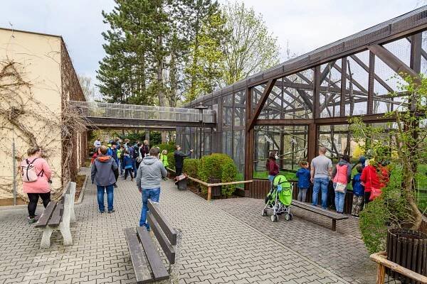 Narvané parkoviště, fronty před vstupem. Safari park přilákal přes 3 tisíce lidí