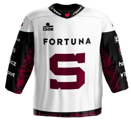 Dres HCS 25/26 bílý FAN