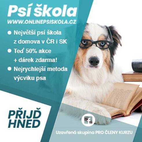 výcvik psů online