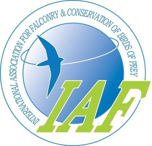 IAF logo