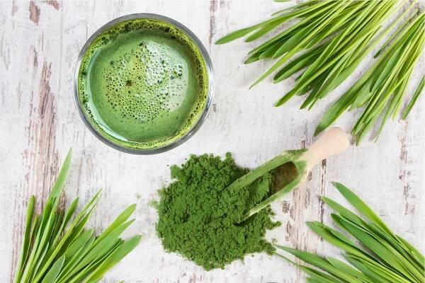 Chlorella a Ječmen Green Ways: Co je co a co je na co?