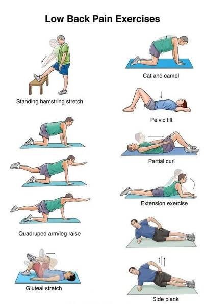 Best Lower Back Pain Exercises The Doctor, Rehabilitation Exercises, Lower Back Pain Exercises, Bolesti Chrbta, Lower Back Pain Relief, Lower Back Exercises, Back Pain Exercises, Carpal Tunnel, Low Back Pain