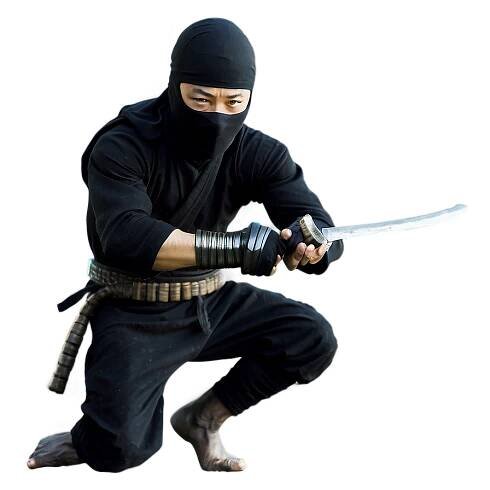 Ninja In Action Png 33 PNG