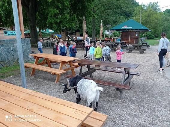 Zrcadlová koza II. - Oficiální stránky ZŠ a MŠ Horní Libchava