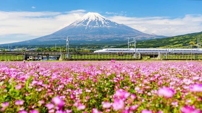 Tajemné Japonsko: Co je Hanami a Nó? | Cestovinky