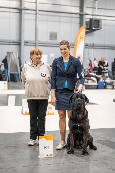 Foto | Korec Corso - Chovatelská stanice Cane Corso Italiano