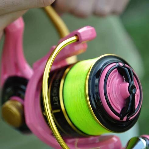 Delphin.sk | e-shop