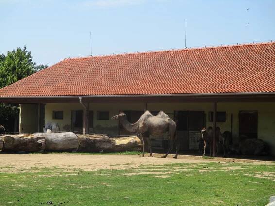 DINOPARK ZOO VYŠKOV - 1. ročník, 2. A | ZŠ UNESCO