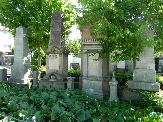 Fotogalerie • Cemetery in Modřice (Friedhof) • Mapy.com