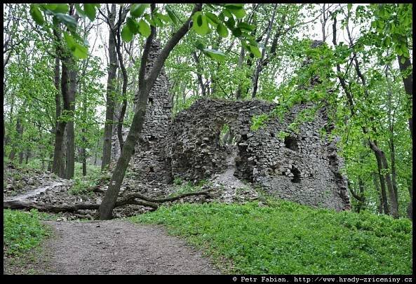Hrad Ostrý Kameň / hrady-zriceniny.cz