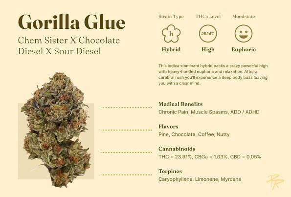 Gorilla Glue