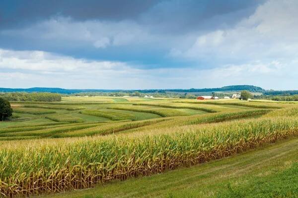 Iowa