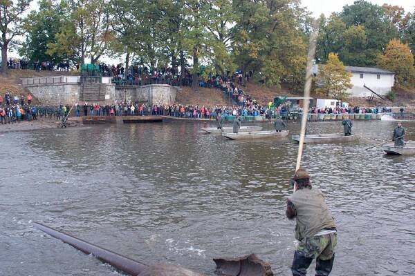 Plašení ryby, aby sestoupila do sítě