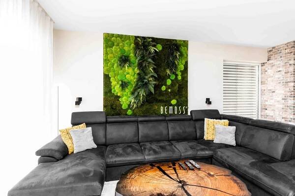 Click to view project - Stěna z mechu a rostlin - BEMOSS
