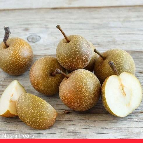 Nashi Pears