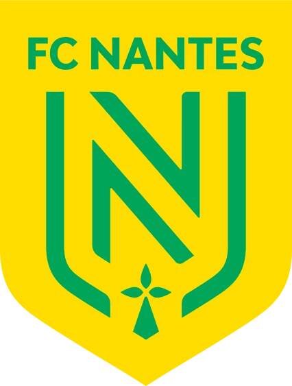 Detailed Breakdown: FC Nantes Player Salaries