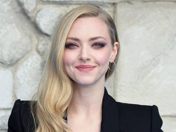 It's official: Amanda Seyfried's room divider is the most innovative feature I've ever seen –...