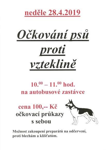 Očkování psů.jpg