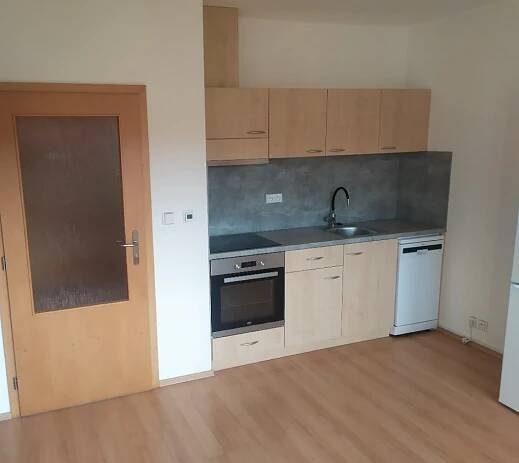Pronájem bytu 1+kk - Řečkovice, Brno • bez RK • bez provize
