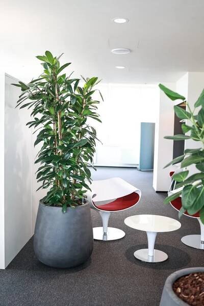 Bubenská 1, repre sídlo pro malé i velké firmy | JUNGLE INTERIORS, s.r.o.