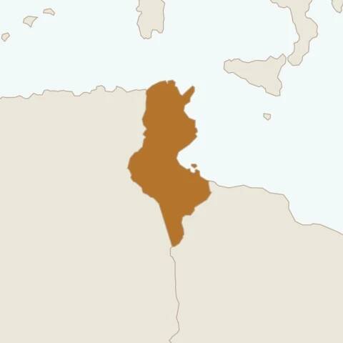 Middle East and North Africa | National Democratic Institute