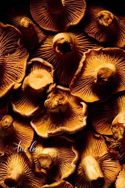 Chantrelle mushrooms. A macro photo to show the best camera settings for food photography.