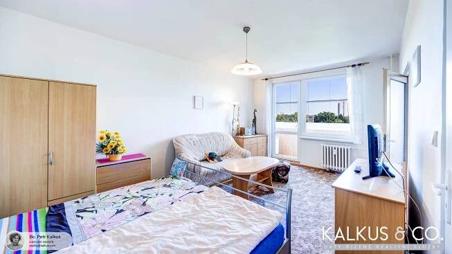 Prodej bytu 2+1 71 m², třída Edvarda Beneše, Hradec Králové - Nový Hradec Králové