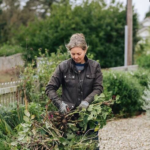 What to plant in November (and other garden tasks for the month)