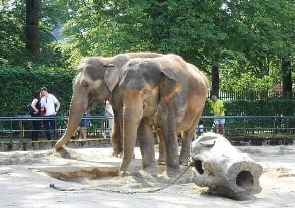 Liberec 1: Zoologická zahrada