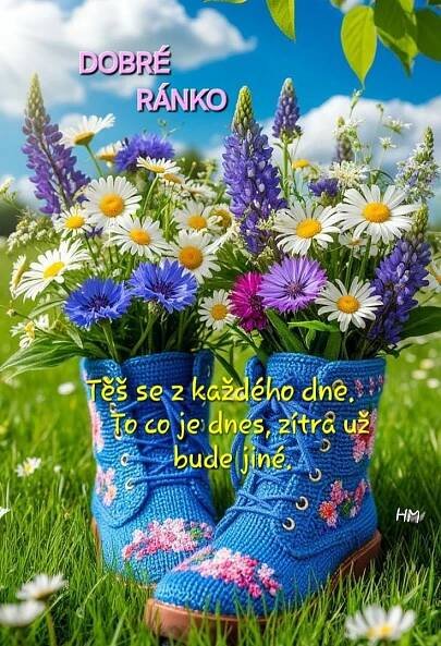 a pair of blue boots with flowers in them on the grass, and an advertisement that says dobre ranko