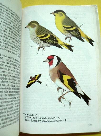 🐦 Naši pěvci Ptáci Brkoslav Konipas Brhlík Sýkora modřinka (1984) 🐦 | Aukro