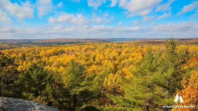 Algonquin Park - Fall Pt. II