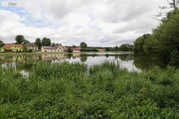 Prodej Pozemek, Skalice - Třebiště, okres Tábor