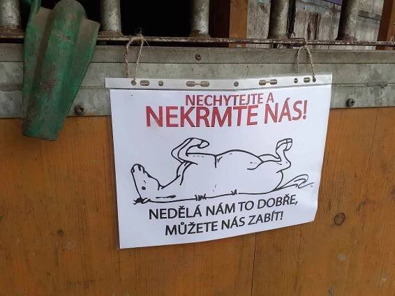 Farma Žlutava. Dozor nad koňmi je zde stále, i v noci.