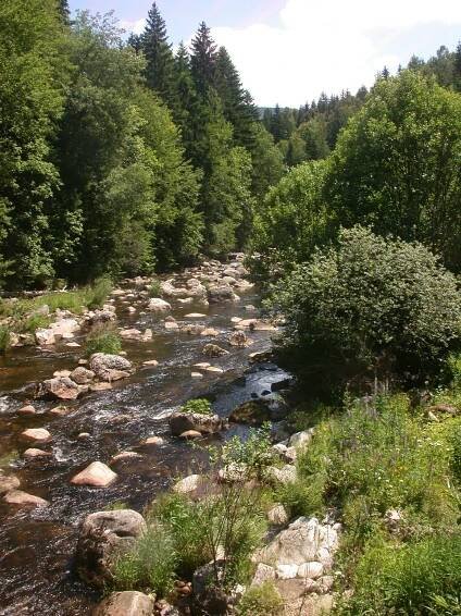 Kořenov