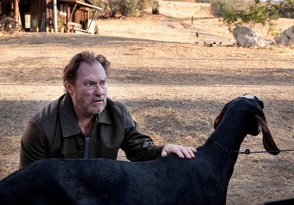 Stephen Root - Barry - Odpouštím Jeffovi - Z filmu