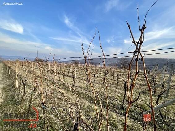 Prodej  pozemku 9 844 m², Milovice, okres Břeclav