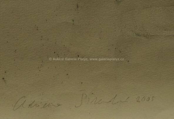 Adriena Šimotová / Kompozice - detail aukce « Aukce « Aukční Galerie Platýz