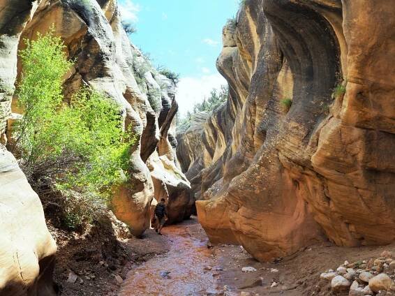 Willis Creek – travelling texans