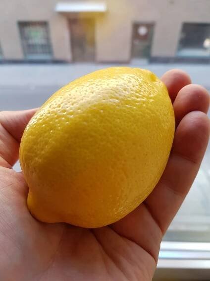 Lemon Ice Cream (the easy way)