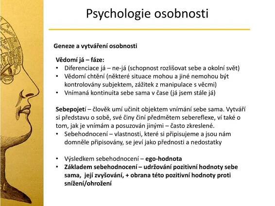 PPT - Psychologie osobnosti PowerPoint Presentation, free download - ID:2483732