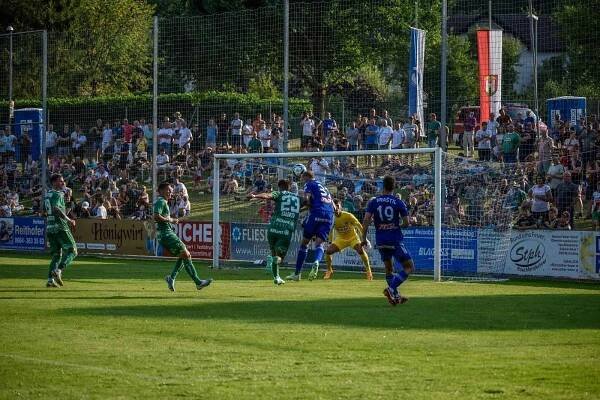 Rapid Vídeň - SK Sigma Olomouc