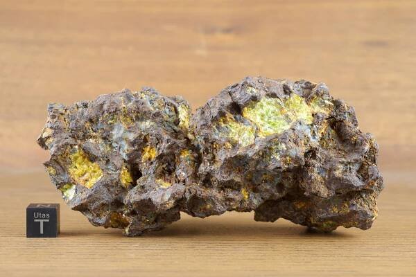Imilac pallasite meteorite