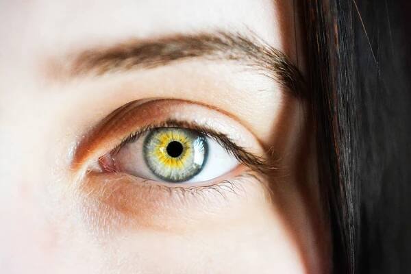 cils et sourcils
