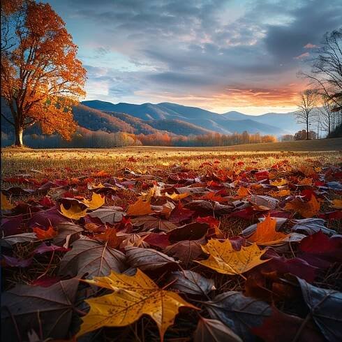 Directions to Cades Cove: Your Ultimate Guide