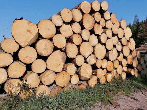 Individuální řešení | Odborný lesní hospodář