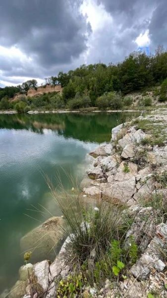 Tipy na výlety: V Kurovickém lomu si užijete nejen koupání, ale zažijete i terapii pomocí včel
