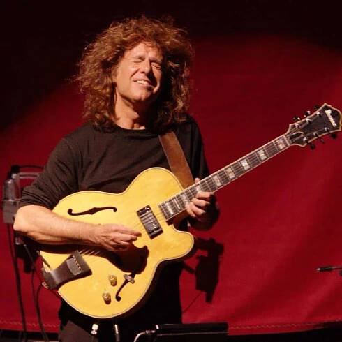 Artist Homepage - Guitars