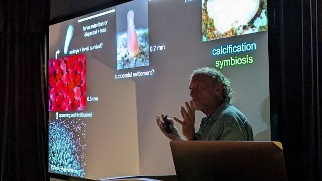 WELCOMING BACK CORAL EXPERT PROF PETER HARRISON