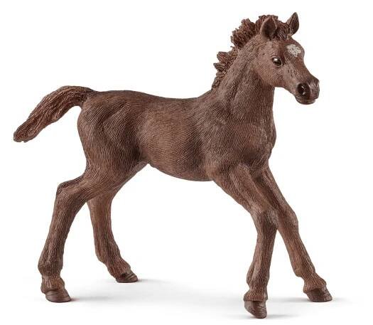 Schleich 13857 Anglický plnokrevník hříbě od 105 Kč